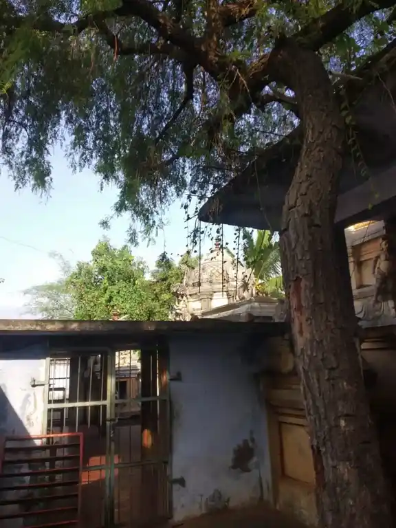 Arulmigu Pondavaneswarar Temple, Devapandalam - 606402 அருள்மிகு பாண்டவனேஸ்வரர் திருக்கோயில், தேவபாண்டலம் - 606402, Kallakurichi - Ancient Temple Architecture and History Image 4