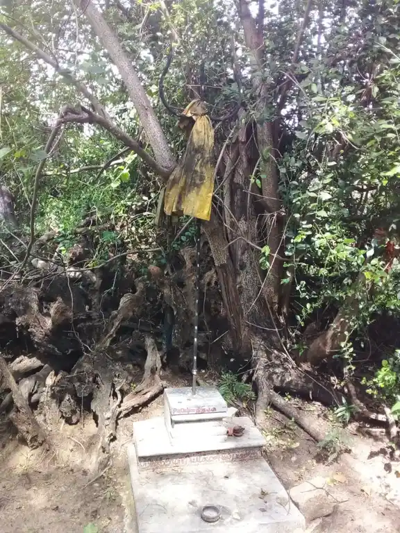 Arulmigu Pongal Kaaliyamman Temple, Konnaiyur - 622401 அருள்மிகு பொங்கல் காளியம்மன் திருக்கோயில், Konnaiyur - 622401, Pudukkottai - Ancient Temple Architecture and History Image 2