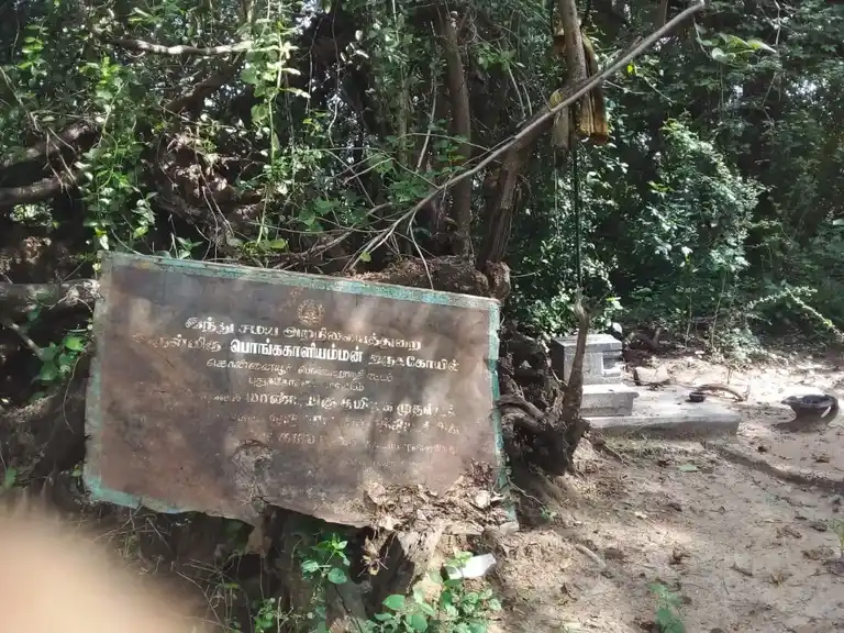 Arulmigu Pongal Kaaliyamman Temple, Konnaiyur - 622401 அருள்மிகு பொங்கல் காளியம்மன் திருக்கோயில், Konnaiyur - 622401, Pudukkottai - Ancient Temple Architecture and History Image 4