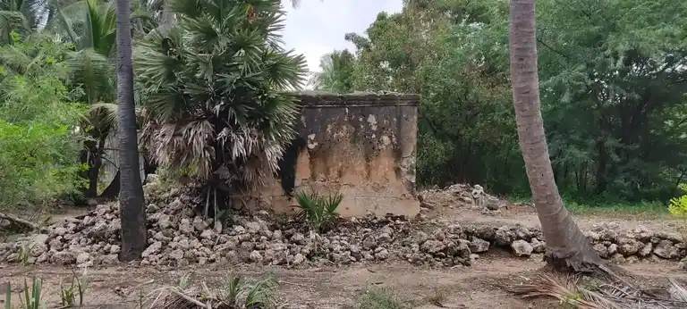 Arulmigu Ponkaliamman Temple, Kokkampalayam - 638702 அருள்மிகு பொன்காளியம்மன் திருக்கோயில், கொக்கம்பாளையம் - 638702, Tiruppur - Ancient Temple Architecture and History Image 2