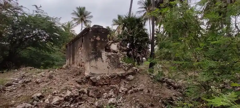 Arulmigu Ponkaliamman Temple, Kokkampalayam - 638702 அருள்மிகு பொன்காளியம்மன் திருக்கோயில், கொக்கம்பாளையம் - 638702, Tiruppur - Ancient Temple Architecture and History Image 3