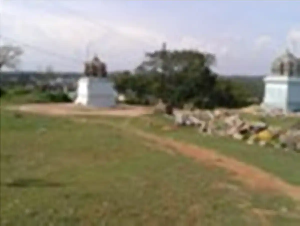 Arulmigu Ponmalai Velayuthasamy Temple, Kinathukadavu - 642109 அருள்மிகு பொன்மலைவேலாயுதசாமி திருக்கோயில், கிணத்துக்கடவு - 642109, Coimbatore - Ancient Temple Architecture and History Image 3