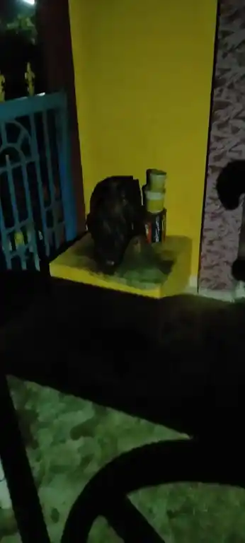 Arulmigu Ponnachiamman Temple, Kathirampatti - 638107 அருள்மிகு பொன்னாச்சியம்மன் திருக்கோயில், Kathirampatti - 638107, Erode - Ancient Temple Architecture and History Image 3