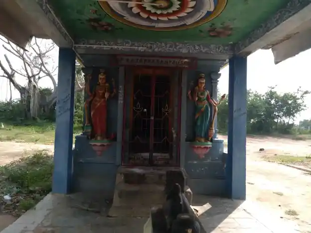 Arulmigu Ponnaiyamman Temple, Kattunaval - 613301 அருள்மிகு பொன்னியம்மன் திருக்கோயில், Kattunaval - 613301, Pudukkottai - Ancient Temple Architecture and History Image 7