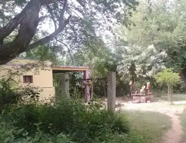 Arulmigu Ponnamman Temple, Thuvaar - 630405 அருள்மிகு. பொன்னம்மன் திருக்கோயில், Thuvaar - 630405, Sivagangai - Ancient Temple Architecture and History Image 3