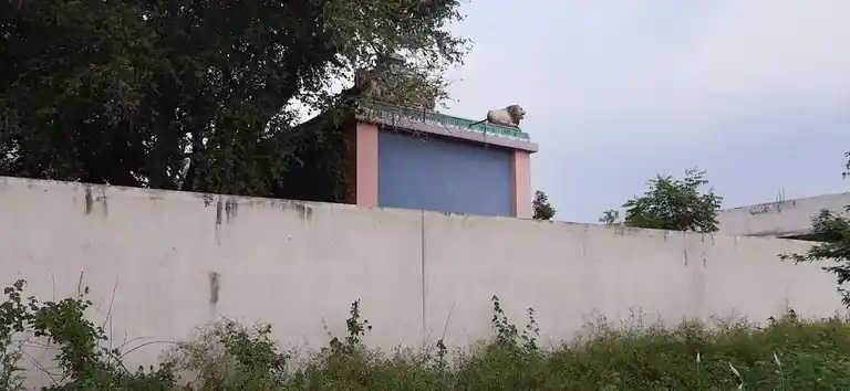 Arulmigu Ponnathal Temple, Omanthur - 621006 Temple