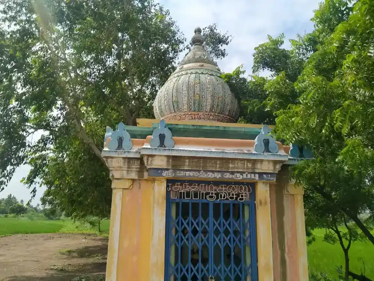 Arulmigu Ponnayi Temple, Pappakurichi - 620019 Arulmigu Ponnayi Temple, Pappakurichi - 620019, Thiruchirappalli - Ancient Temple Architecture and History Image 3