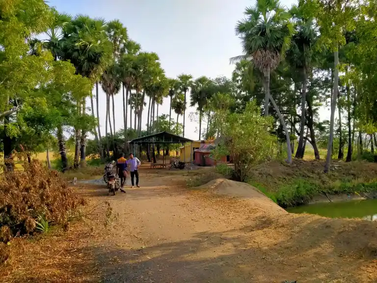Arulmigu Ponneriyamman Temple, Kalamalai, Thiruchirappalli - 620010 Arulmigu Ponneriyamman Temple, Kalamalai, Thiruchirappalli - 620010, Thiruchirappalli - Ancient Temple Architecture and History Image 4