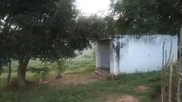 Arulmigu Ponniamman Temple, Guruvinayanapalli - 635120 அருள்மிகு பொன்னியம்மன் திருக்கோயில், குருவிநாயனப்பள்ளி - 635120, Krishnagiri - Ancient Temple Architecture and History Image 3