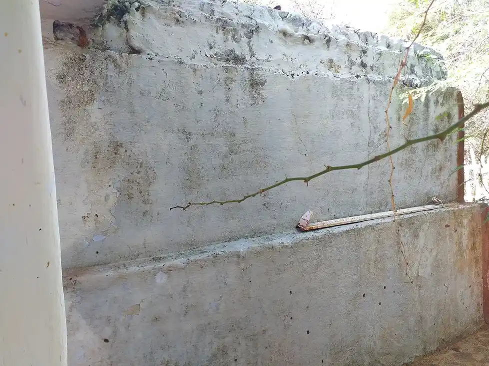 Arulmigu Ponnian Sastha Temple, Theetthapuram - 628617 அருள்மிகு பொன்னைய்யன் சாஸ்தா திருக்கோயில், Theetthapuram - 628617, Thoothukudi - Ancient Temple Architecture and History Image 3