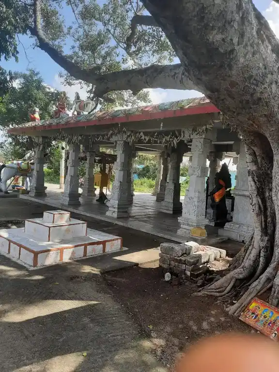 Arulmigu Ponniyamman Temple, Ammanankoil - 635602 அருள்மிகு பொன்னியம்மன் திருக்கோயில், அம்மனாங்கோயில் - 635602, Thirupathur - Ancient Temple Architecture and History Image 3