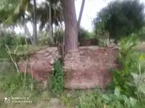 Arulmigu Ponniyamman Temple, Athikuppam - 635653 அருள்மிகு பொன்னியம்மன் திருக்கோயில், அத்திகுப்பம் - 635653, Thirupathur - Ancient Temple Architecture and History Image 2