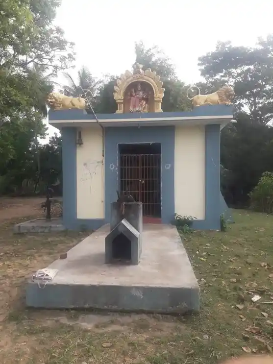 Arulmigu Ponniyamman Temple, Kaduvangudi - 609201 அருள்மிகு பொன்னியம்மன் திருக்கோயில், Kaduvangudi - 609201, Mayiladuthurai - Ancient Temple Architecture and History Image 5