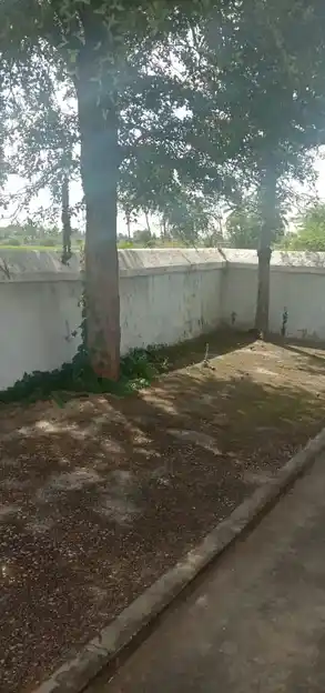 Arulmigu Ponniyamman Temple, Kunnichi - 635602 அருள்மிகு பொன்னியம்மன் திருக்கோயில், குனிச்சி - 635602, Thirupathur - Ancient Temple Architecture and History Image 4