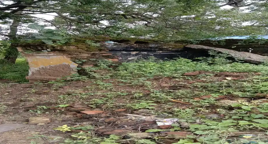 Arulmigu Ponniyamman Temple, Melvadugankuttai - 632201 அருள்மிகு பொன்னியம்மன் திருக்கோயில், மேல்வடுகன்குட்டை - 632201, Vellore - Ancient Temple Architecture and History Image 3