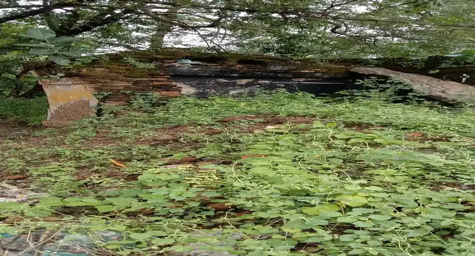 Arulmigu Ponniyamman Temple, Melvadugankuttai - 632201 அருள்மிகு பொன்னியம்மன் திருக்கோயில், மேல்வடுகன்குட்டை - 632201, Vellore - Ancient Temple Architecture and History Image 4