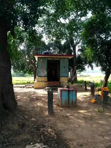 Arulmigu Ponniyamman Temple, Nelli - 603308 Arulmigu Ponniyamman Temple, Nelli - 603308, Chengalpattu - Ancient Temple Architecture and History Image 3