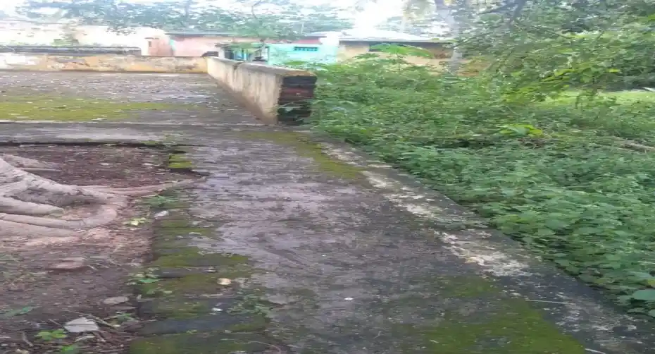 Arulmigu Ponniyamman Temple, Pattu - 632601 அருள்மிகு பொன்னியம்மன் திருக்கோயில், பட்டு - 632601, Vellore - Ancient Temple Architecture and History Image 2