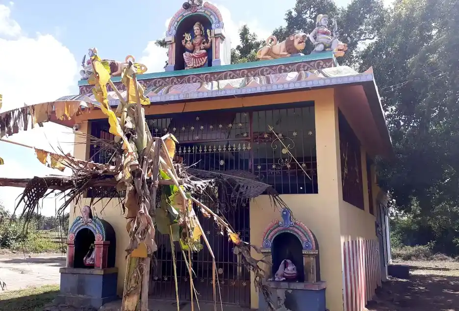 Arulmigu Ponniyamman Temple, Sirumailur - 603107 அருள்மிகு பொன்னியம்மன் திருக்கோயில், சிறுமைலூர் - 603107, Kancheepuram - Ancient Temple Architecture and History Image 3