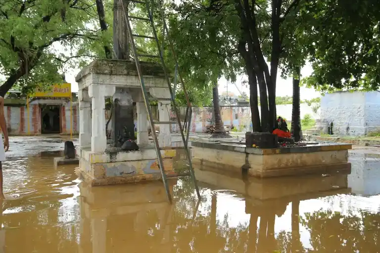 Arulmigu Ponsoleswarar Temple, Pazhamgarai, Avinashi - 641652 அருள்மிகு பொன்சோழீஸ்வரர் திருக்கோயில், Pazhamgarai, Avinashi - 641652, Tiruppur - Ancient Temple Architecture and History Image 6