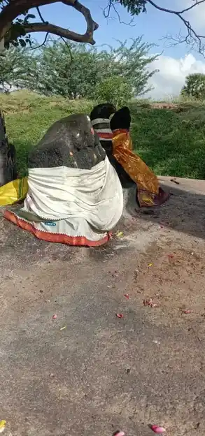 Arulmigu Poojai Ayyanar Temple, Maththur - 630561