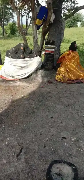 Arulmigu Poojai Ayyanar Temple, Maththur - 630561 அருள்மிகு. பூஜை அய்யனார் திருக்கோயில், Maththur - 630561, Sivagangai - Ancient Temple Architecture and History Image 2