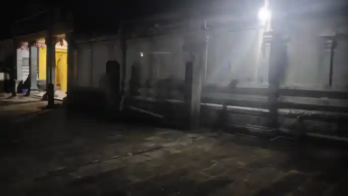 Arulmigu Poominathaswamy Temple, Alivalam - 610106 அருள்மிகு பூமிநாதசாமி திருக்கோயில், அலிவலம் - 610106, Thiruvarur - Ancient Temple Architecture and History Image 19