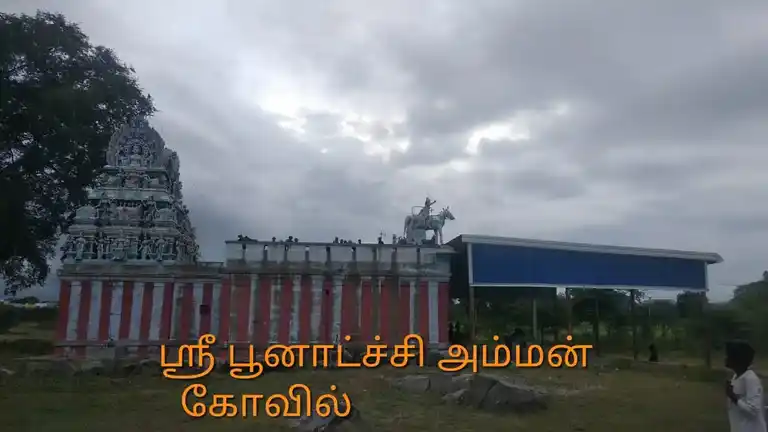 Arulmigu Poonachiamman Temple, Thinnanoor - 621006 Temple