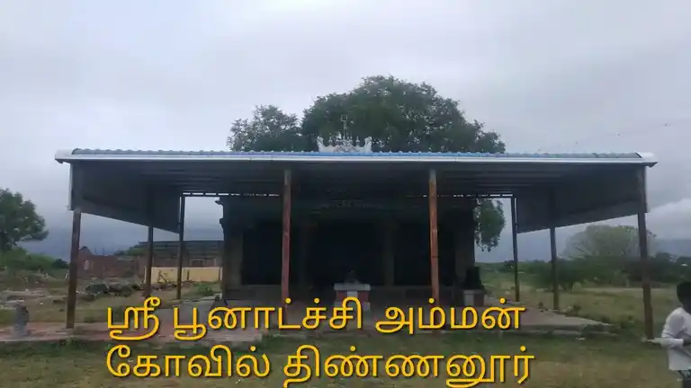 Arulmigu Poonachiamman Temple, Thinnanoor - 621006 Arulmigu Poonachiamman Temple, Thinnanoor - 621006, Thiruchirappalli - Ancient Temple Architecture and History Image 2