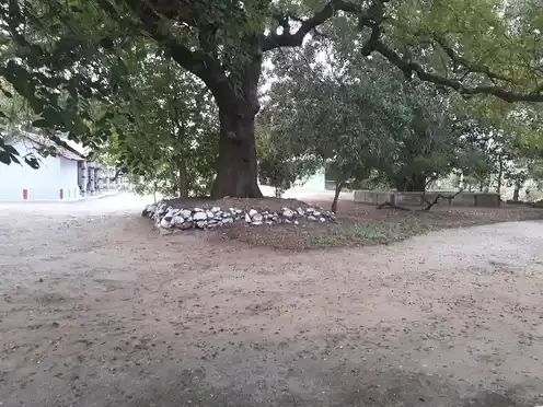 Arulmigu Poraviyal Temple, Vallipuram - 641654 அருள்மிகு பொரவியாள் திருக்கோயில், Vallipuram - 641654, Tiruppur - Ancient Temple Architecture and History Image 4