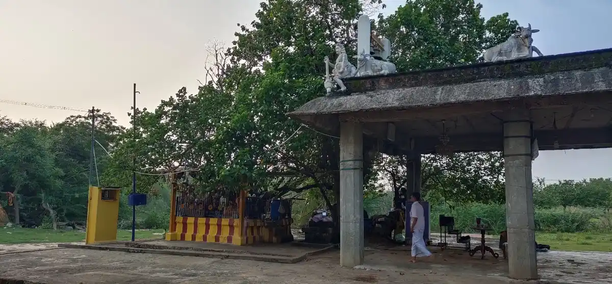 Arulmigu Porkudayar Temple, Mookudi - 614616 அருள்மிகு பொற்குடையார் திருக்கோயில், மூக்குடி அறந்தாங்கி வட்டம் - 614616, Pudukkottai - Ancient Temple Architecture and History Image 2