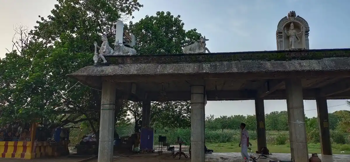 Arulmigu Porkudayar Temple, Mookudi - 614616 அருள்மிகு பொற்குடையார் திருக்கோயில், மூக்குடி அறந்தாங்கி வட்டம் - 614616, Pudukkottai - Ancient Temple Architecture and History Image 3