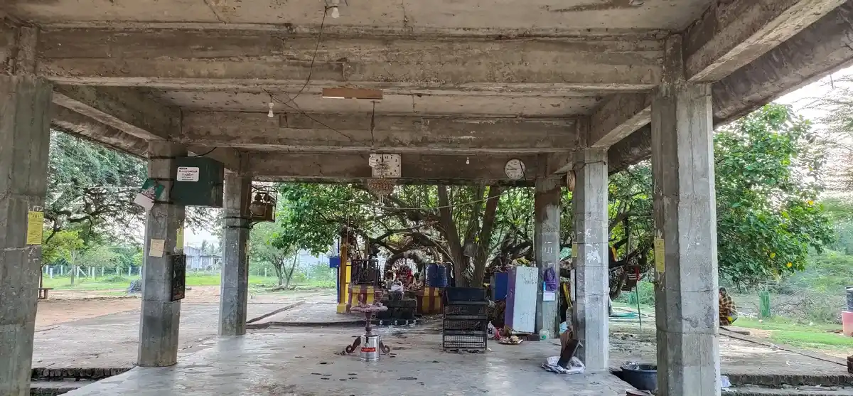 Arulmigu Porkudayar Temple, Mookudi - 614616 அருள்மிகு பொற்குடையார் திருக்கோயில், மூக்குடி அறந்தாங்கி வட்டம் - 614616, Pudukkottai - Ancient Temple Architecture and History Image 4