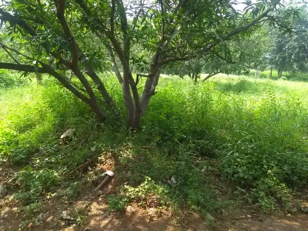 Arulmigu Porrirudaiya Ayyanar Temple, Senthamangalam - 625503 பொற்றீருடைய அய்யனார் கோயில், Senthamangalam - 625503, Madurai - Ancient Temple Architecture and History Image 2