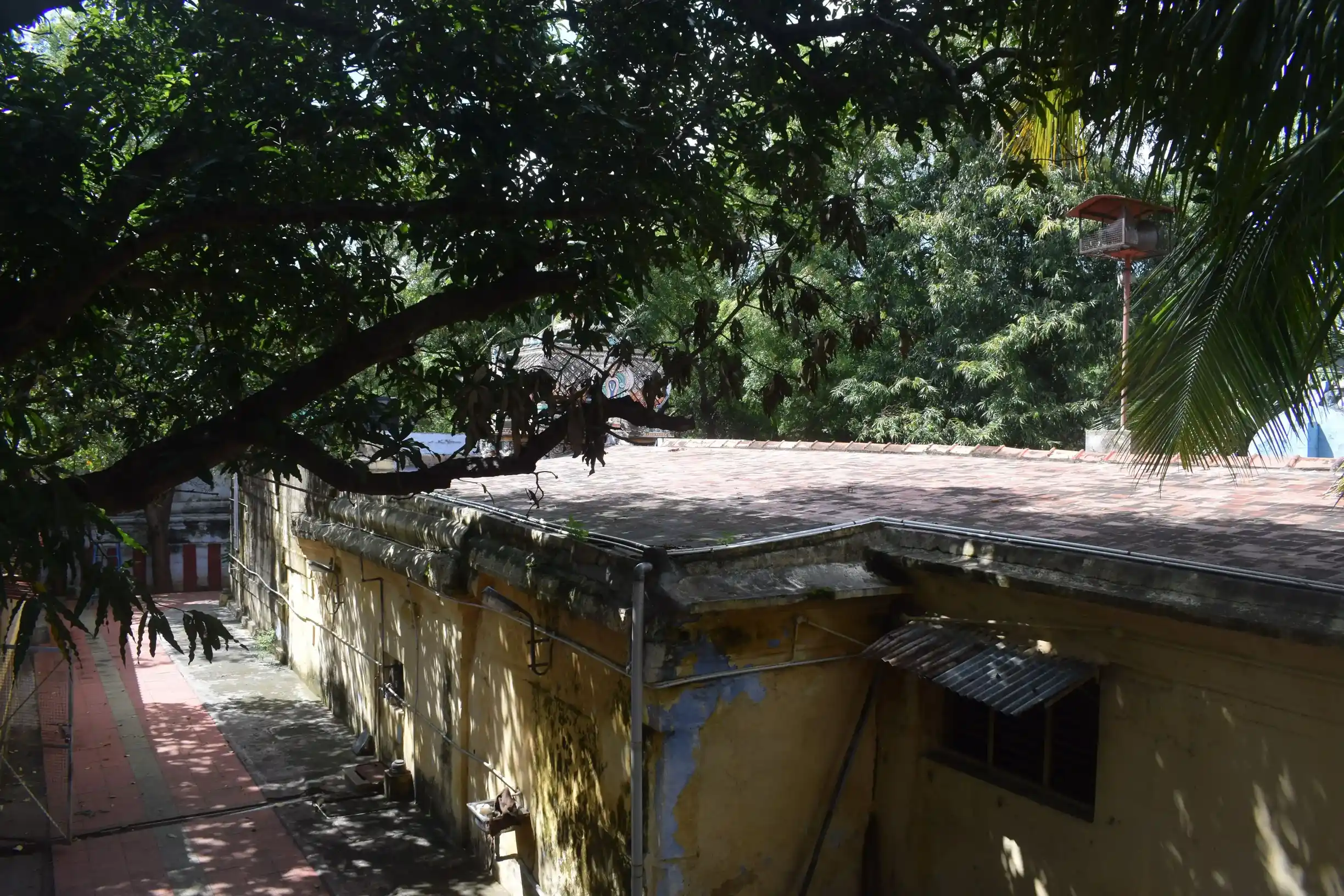 Arulmigu Porunthinendra Perumal Temple, Perumal Koil Street, Tenkasi - 627811 அருள்மிகு பொருந்திநின்ற பெருமாள் திருக்கோயில், Perumal Koil Street, Tenkasi - 627811, Tenkasi - Ancient Temple Architecture and History Image 4
