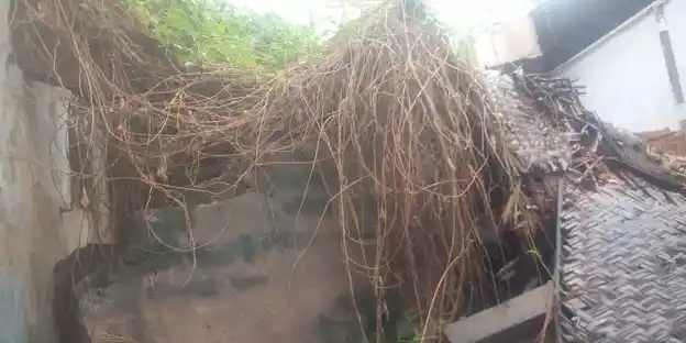 Arulmigu Pothubajanai Madam, Srimushnam - 608702 அருள்மிகு பொதுபஜனைமடம், ஸ்ரீமுக்ஷ்ணம், காட்டுமன்னார்குடி வட்டம் மடம், Srimushnam - 608702, Cuddalore - Ancient Temple Architecture and History Image 2