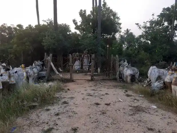 Arulmigu Pramanar Temple, Mahadepuram - 614601