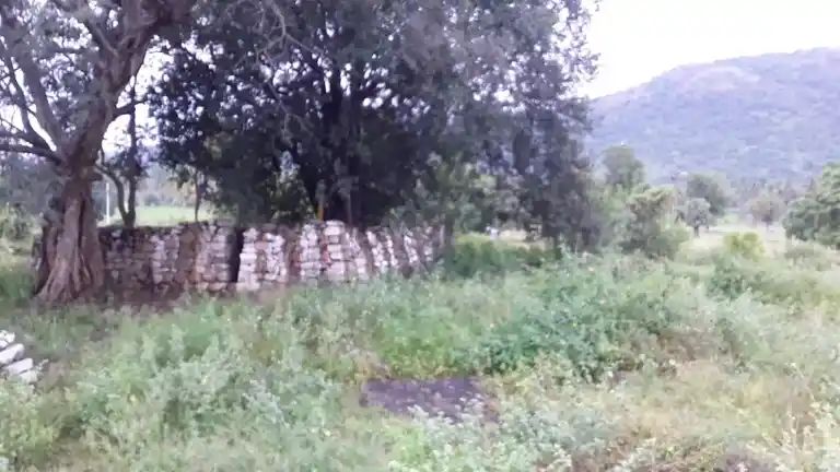 Arulmigu Pranaswamy Temple, Kanavaipudur - 636354