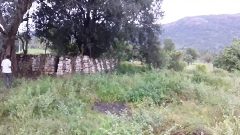 Arulmigu Pranaswamy Temple, Kanavaipudur - 636354 அருள்மிகு பிராணசுவாமி திருக்கோயில், Kanavaipudur - 636354, Salem - Ancient Temple Architecture and History Image 3