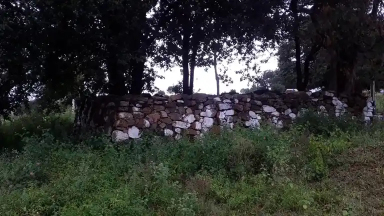 Arulmigu Pranaswamy Temple, Kanavaipudur - 636354 அருள்மிகு பிராணசுவாமி திருக்கோயில், Kanavaipudur - 636354, Salem - Ancient Temple Architecture and History Image 4