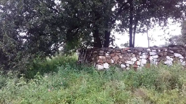 Arulmigu Pranaswamy Temple, Kanavaipudur - 636354 அருள்மிகு பிராணசுவாமி திருக்கோயில், Kanavaipudur - 636354, Salem - Ancient Temple Architecture and History Image 6