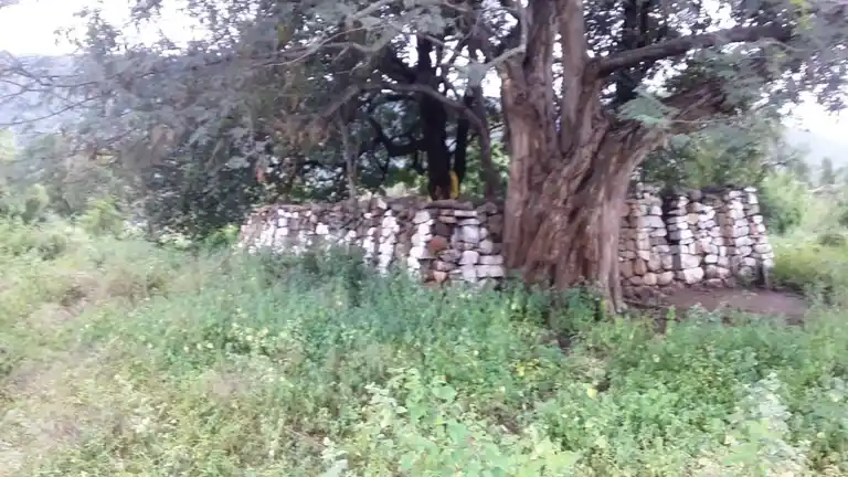 Arulmigu Pranaswamy Temple, Kanavaipudur - 636354 அருள்மிகு பிராணசுவாமி திருக்கோயில், Kanavaipudur - 636354, Salem - Ancient Temple Architecture and History Image 7