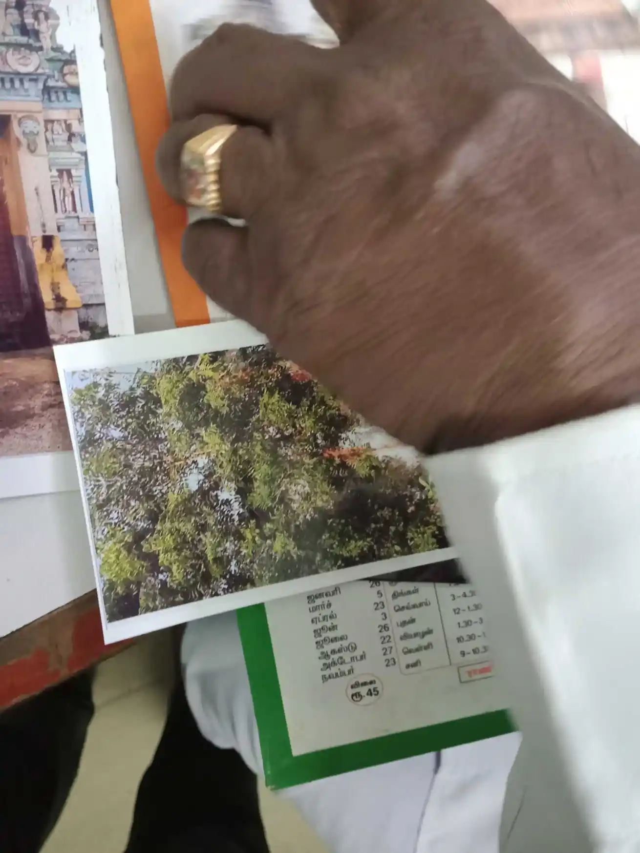 Arulmigu Prasana Vinayagar Temple, Red Hills, Chennai - 600052 அருள்மிகு பிரசன்ன விநாயகர் திருக்கோயில், செங்குன்றம், சென்னை - 600052, Tiruvallur - Ancient Temple Architecture and History Image 3