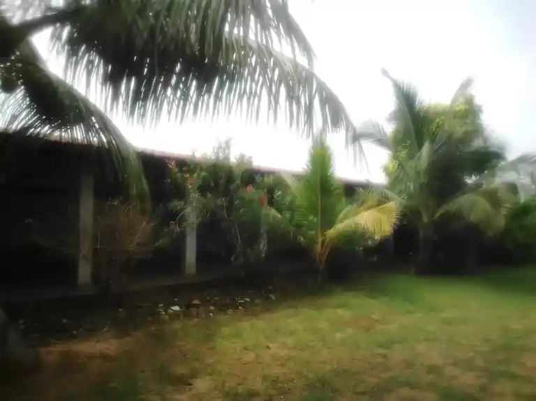 Arulmigu Prasanna Ragunathar Temple, Kadiyakudi, Thirumayam Taluk - 622003 அருள்மிகு பிரசன்னரெகுநாதர் திருக்கோயில், கடையக்குடி, திருமயம் வட்டம் - 622003, Pudukkottai - Ancient Temple Architecture and History Image 6