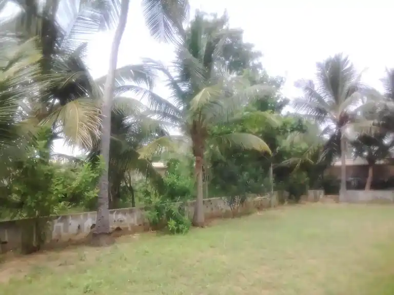 Arulmigu Prasanna Ragunathar Temple, Kadiyakudi, Thirumayam Taluk - 622003 அருள்மிகு பிரசன்னரெகுநாதர் திருக்கோயில், கடையக்குடி, திருமயம் வட்டம் - 622003, Pudukkottai - Ancient Temple Architecture and History Image 7