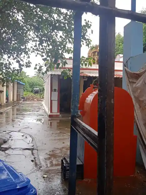 Arulmigu Prasanna Vengatesa Perumal Temple, West Mambalam, Chennai - 600033 அருள்மிகு பிரசன்ன வெங்கடேச பெருமாள் கோயில், மாம்பலம் - 600033, Chennai - Ancient Temple Architecture and History Image 4