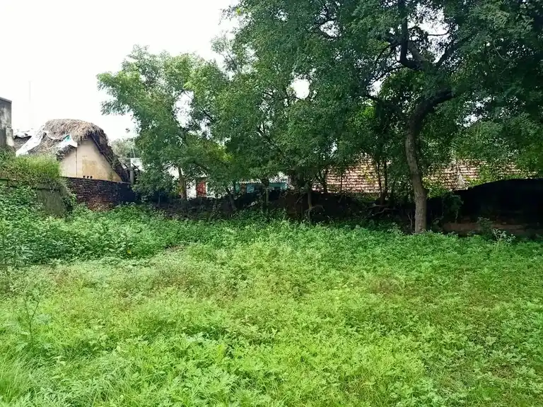 Arulmigu Prayogavaradharajaperumal Temple, Manalurpettai - 605754 அருள்மிகு பிரயோக வரதராஜப்பெருமாள் திருக்கோயில், மணலூர்பேட்டை - 605754, Kallakurichi - Ancient Temple Architecture and History Image 5