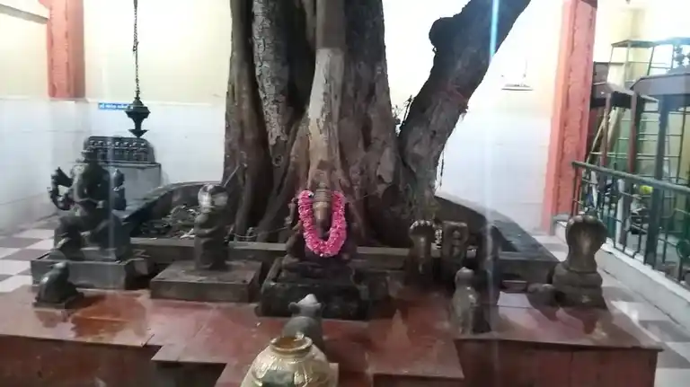 Arulmigu Pudhuramalinga Sowdeswariamman Temple, Town Hall, Coimbatore - 641001 அருள்மிகு புதுராமலிங்க சௌடேஸ்வரியம்மன் திருக்கோயில், Town Hall, Coimbatore - 641001, Coimbatore - Ancient Temple Architecture and History Image 2