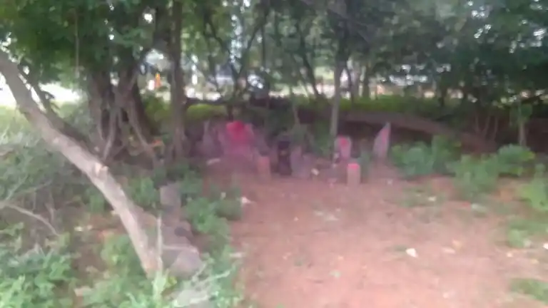 Arulmigu Pudhuvayal Karupaswamy Temple, Idayapatti - 621305 Temple