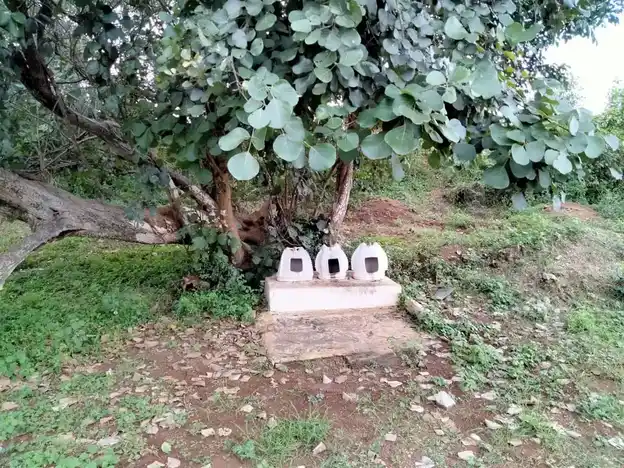 Arulmigu Pudhuvayalpatti Kannimar Temple, Idayapatti - 621305 Arulmigu Pudhuvayalpatti Kannimar Temple, Idayapatti - 621305, Thiruchirappalli - Ancient Temple Architecture and History Image 4
